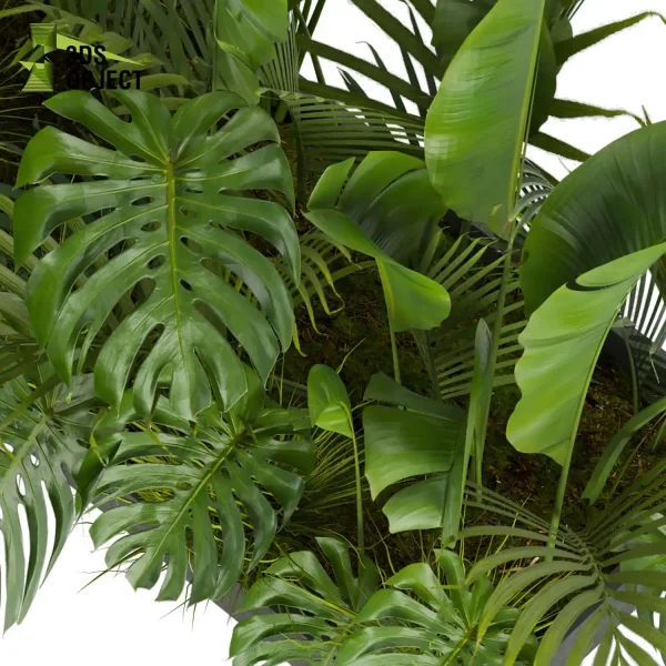 3d garden plant models botanical Visualization Landscape Foliage Vegetation Rendering Environment tree Design high poly Monstera banana palm decorative hamedorea indoor bush houseplant flowerpot cinema 4d 3ds max blender enscpae fbx obj Rhino Sketchup lumion