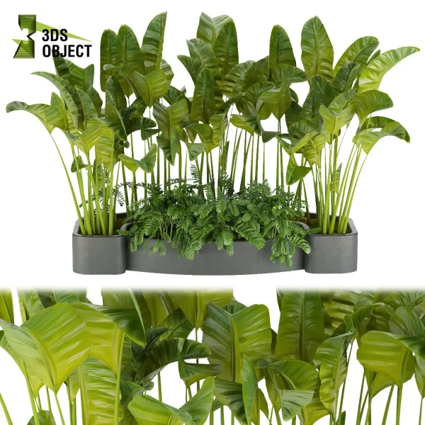 3d model plant free Vegetation tree box Foliage banana monstera Vegetation Rendering Plant Simulation Virtual Botany Ecological Simulation Digital Horticulture Plant Design Software low poly