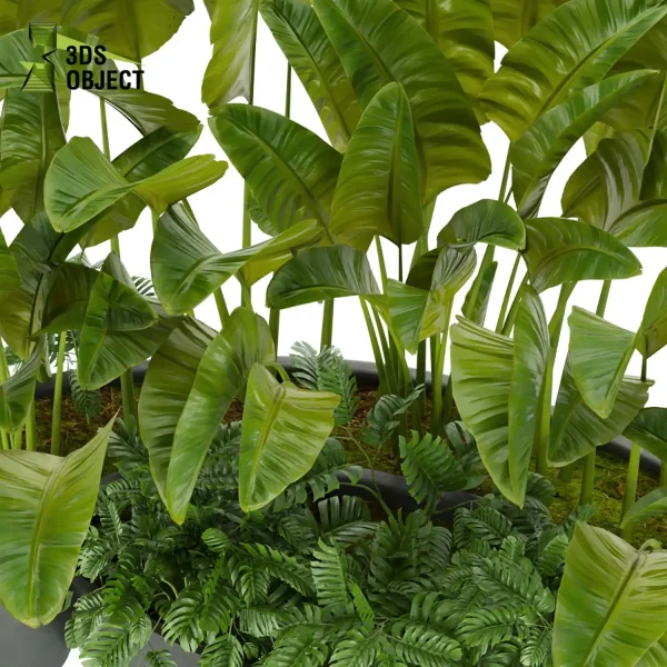 3d model plant free Vegetation tree box Foliage banana monstera Vegetation Rendering Plant Simulation Virtual Botany Ecological Simulation Digital Horticulture Plant Design Software cinema 4d 3ds max blender enscape fbx obj Rhino Sketchup lumion