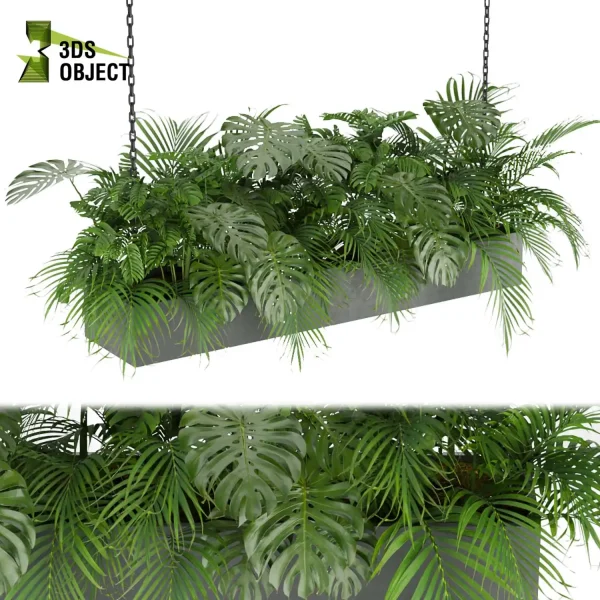 3d model plant hanging free Botanical Models Palm monstera hanging low poly purchase rendering cinema 4d 3ds max blender enscpae fbx obj Rhino Sketchup lumion