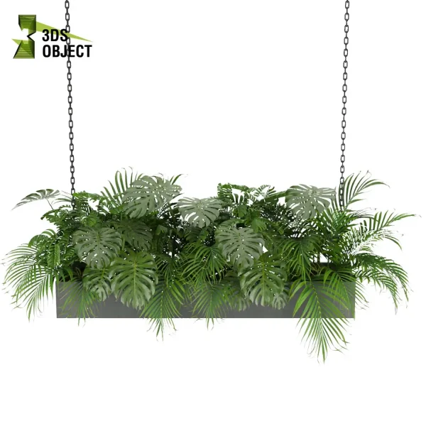 3d model plant hanging free Botanical Models Palm monstera hanging low poly purchase rendering cinema 4d 3ds max blender enscpae fbx obj Rhino Sketchup lumion