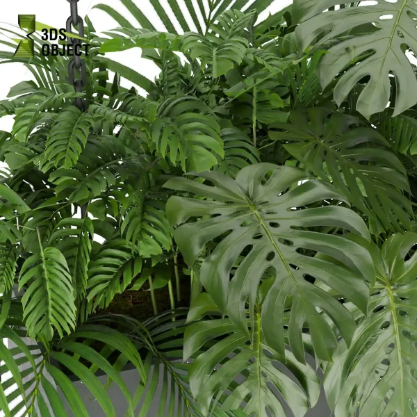 3d model plant hanging free Botanical Models Palm monstera hanging low poly purchase rendering cinema 4d 3ds max blender enscpae fbx obj Rhino Sketchup lumion