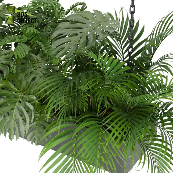 3d model plant hanging free Botanical Models Palm monstera hanging low poly purchase rendering cinema 4d 3ds max blender enscpae fbx obj Rhino Sketchup lumion