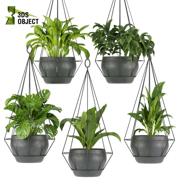 3d model plant hanging free Botanical Models Monstera banana paradise aglaonema Design Software Visualization Rendering interior design purchase cinema 4d 3ds max blender enscpae fbx obj Rhino Sketchup lumion