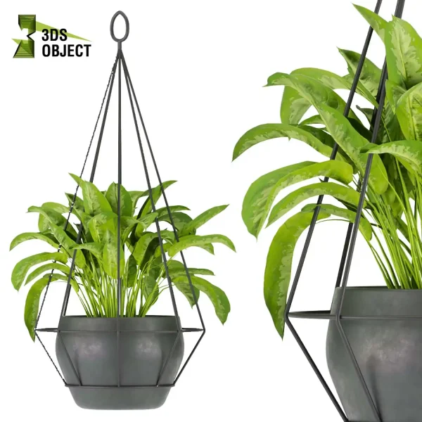 3d model plant hanging free Botanical Models Monstera banana paradise aglaonema t Design Software Visualization Rendering interior design purchase cinema 4d 3ds max blender enscpae fbx obj Rhino Sketchup lumion