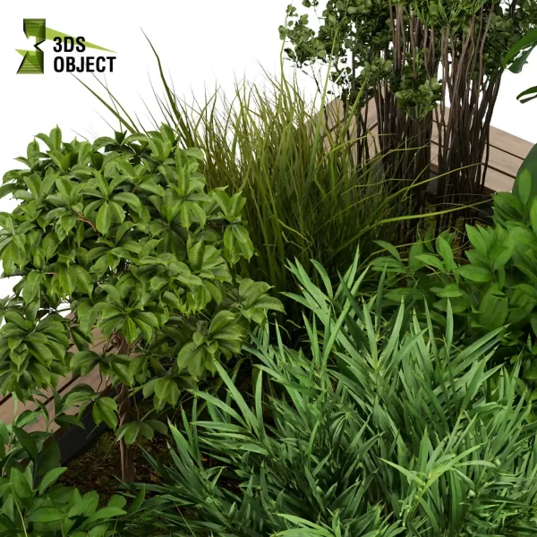 3d garden plant models botanical Visualization Landscape Foliage Vegetation Rendering Environment tree Design high poly Bush peace lily monstera palm banana 3D Plant Creation Virtual Garden Design Botanical Simulation Plant Visualization Vegetation Modeling cinema 4d 3ds max blender enscpae fbx obj Rhino Sketchup lumion