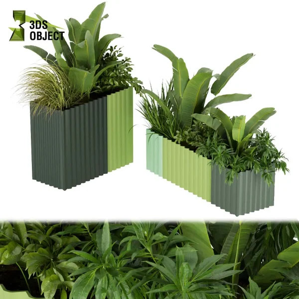 3d model plant free Vegetation tree box Foliage Banana grass bush Vegetation Assets Foliage Generator Plant Rendering 3D Flora Lush Environment Greenery Generator Botanical Rendering planter pot greenhouse balcony decorative hamedorea cinema 4d 3ds max blender enscape fbx obj Rhino Sketchup lumion low poly