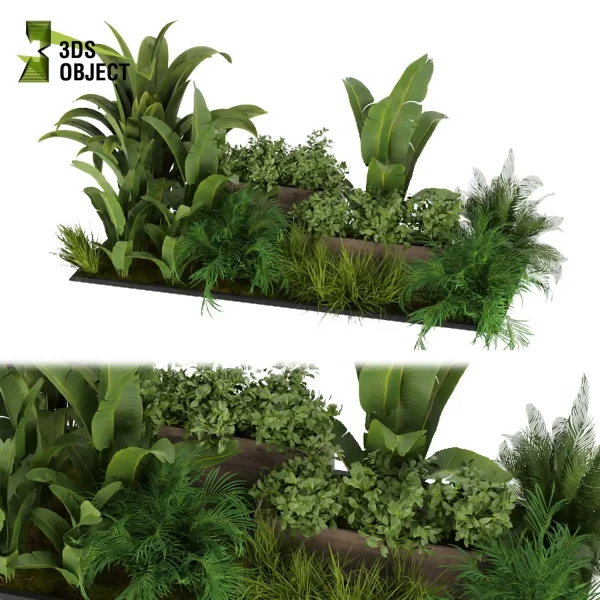 3d garden plant models botanical Visualization Landscape Foliage Vegetation Rendering Environment tree Design high poly bush palm banana bird of paradise 3D Plant Creation Virtual Garden Design Botanical Simulation Plant Visualization Vegetation Modeling cinema 4d 3ds max blender enscpae fbx obj Rhino Sketchup lumion