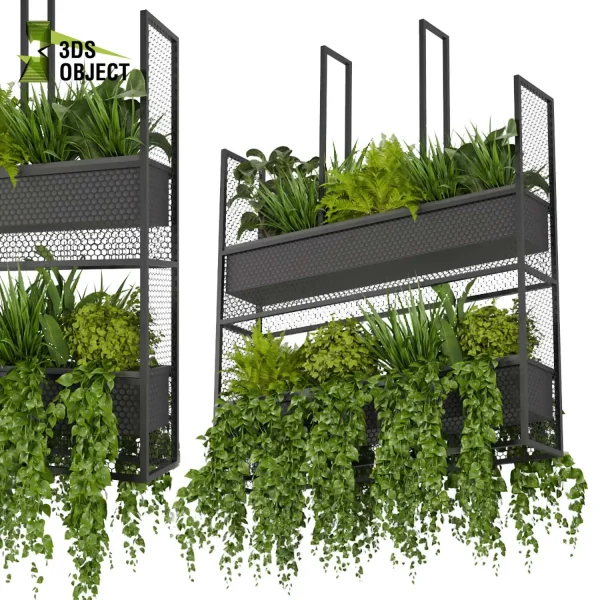3d model plant hanging free Botanical Models 3dmodeling purchase cinema 4d 3ds max blender fbx obj Rhino Sketchup lumion Foliage Assets architectural