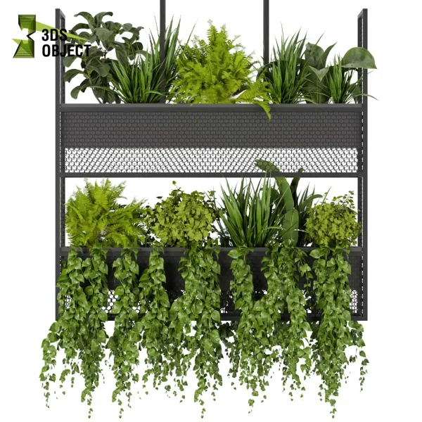 3d model plant hanging free Botanical Models 3dmodeling purchase cinema 4d 3ds max blender fbx obj Rhino Sketchup lumion Foliage Assets architectural