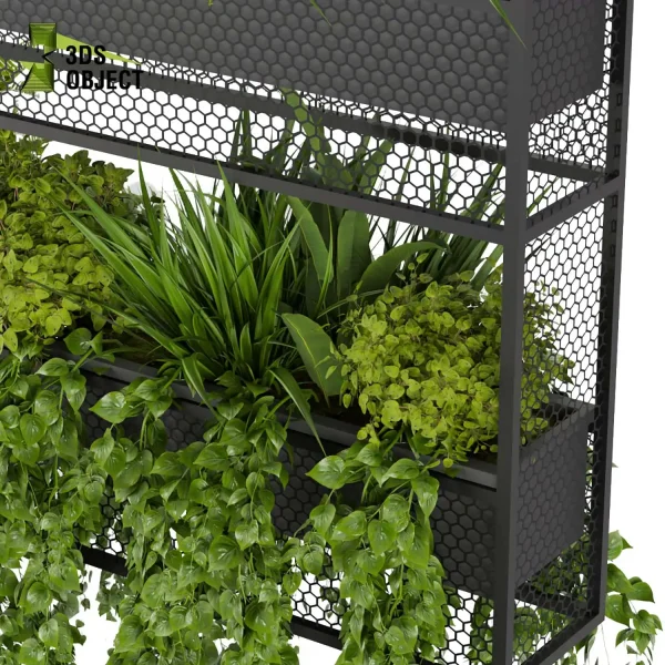 3d model plant hanging free Botanical Models 3dmodeling purchase cinema 4d 3ds max blender fbx obj Rhino Sketchup lumion Foliage Assets architectural