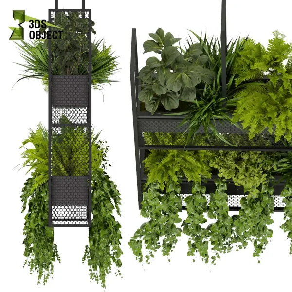 3d model plant hanging free Botanical Models 3dmodeling purchase cinema 4d 3ds max blender fbx obj Rhino Sketchup lumion Foliage Assets architectural