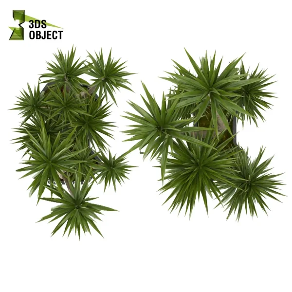 3d model plant free Vegetation tree box Foliage Palm dracena Lush Environment Greenery Generator Botanical Rendering Nature Simulation Plant Modeling Software 3D Garden Design planter pot greenhouse balcony decorative hamedorea indoor bush houseplant