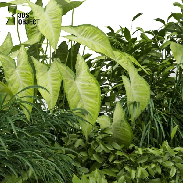 3d model plant free Vegetation tree box Foliage bush banana grass 3D architectural visualization Vegetation Assets Foliage Generator Plant Rendering 3D Flora Lush Environment Greenery Generator Botanical Rendering Nature Simulation Plant Modeling Software 3D Garden Design Forest Simulation 3D Tree Generator Landscape Design Software Foliage Rendering Digital Landscaping 3D Plant Creation Virtual Garden Design Botanical Simulation Plant Visualization Vegetation Modeling cinema 4d 3ds max blender enscape fbx obj Rhino Sketchup lumion