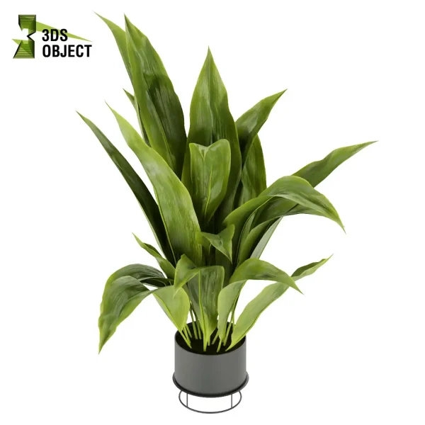 3d model plant pot free Bird of paradise Care hamedorea 3Dmodeling vegetation modeling tool