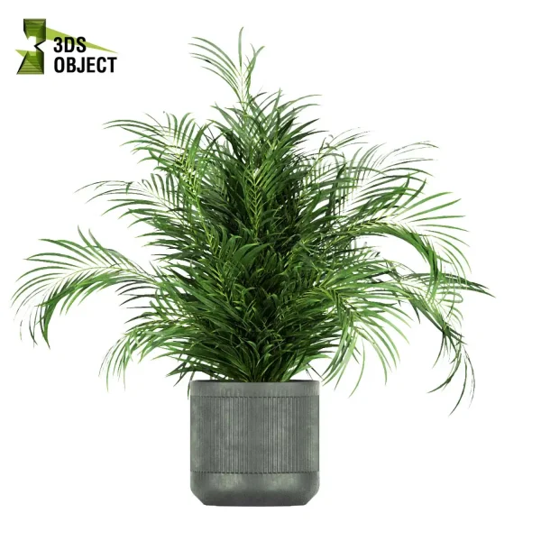 3d model plant pot free Banana palm dracaena schefflera bush 3Dmodeling botanical architecture simulator fbx obj Rhino Sketchup