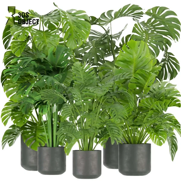 3d model plant pot free Monstera Deliciosa Madison, Collection indoor planter hamedorea botanical architecture simulator