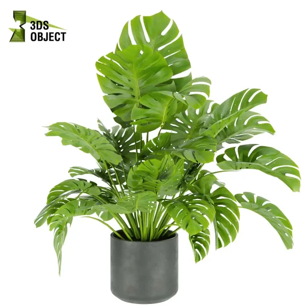3d model plant pot free Monstera Deliciosa Madison, Collection indoor planter hamedorea botanical architecture simulator