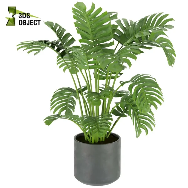 3d model plant pot free Monstera Deliciosa Madison, Collection indoor planter hamedorea botanical architecture simulator