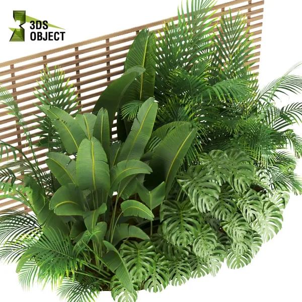 3d garden plant models botanical Visualization Landscape Foliage Vegetation Rendering Environment tree Design high poly Monstera banana palm 3drendering rendering 3drender architecture interiordesign cinema 4d 3ds max blender enscpae fbx obj Rhino Sketchup lumion