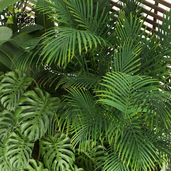 3d garden plant models botanical Visualization Landscape Foliage Vegetation Rendering Environment tree Design high poly Monstera banana palm 3drendering rendering 3drender architecture interiordesign cinema 4d 3ds max blender enscpae fbx obj Rhino Sketchup lumion