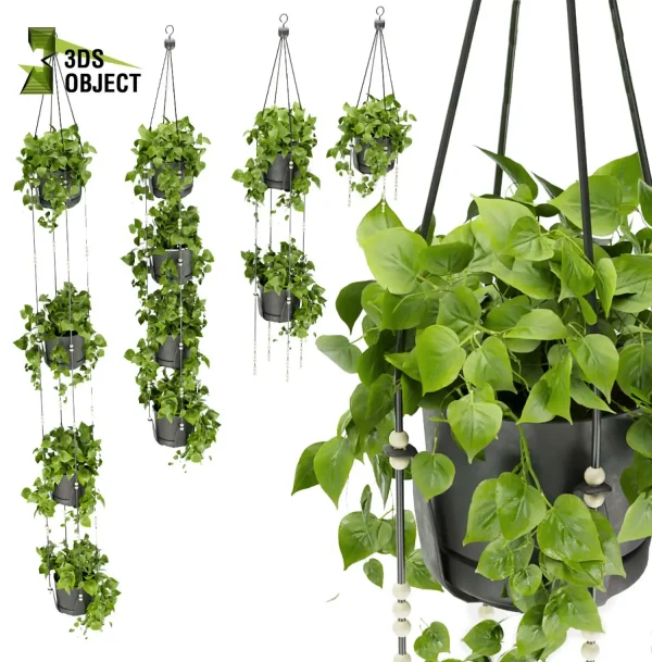 3d model plant hanging free Botanical Models pothos Tree Shrubbery Assets Rendering Design Landscape Software low poly buy purchase ivy cinema 4d 3ds max blender enscpae fbx obj Rhino Sketchup lumion