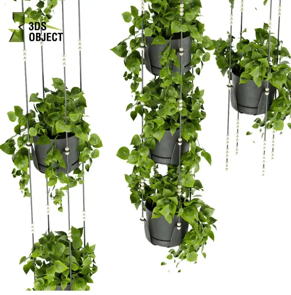 3d model plant hanging free Botanical Models pothos Tree Shrubbery Assets Rendering Design Landscape Software low poly buy purchase ivy cinema 4d 3ds max blender enscpae fbx obj Rhino Sketchup lumion