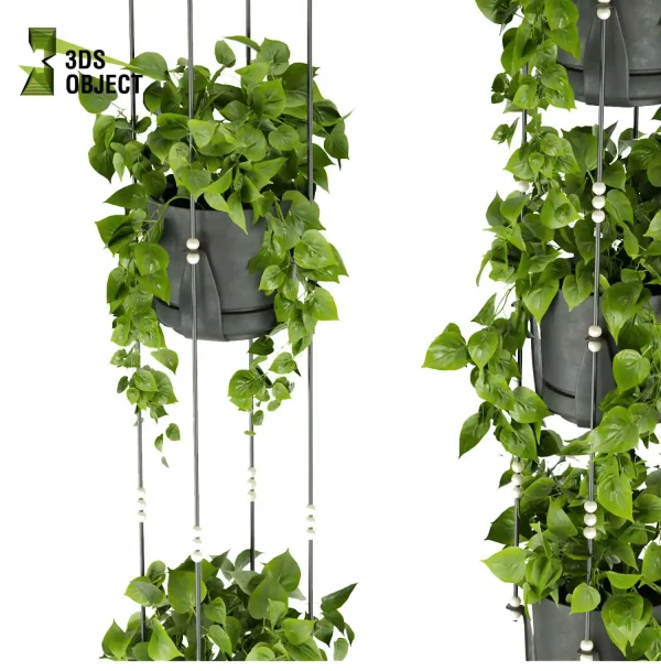 3d model plant hanging free Botanical Models pothos Tree Shrubbery Assets Rendering Design Landscape Software low poly buy purchase ivy cinema 4d 3ds max blender enscpae fbx obj Rhino Sketchup lumion