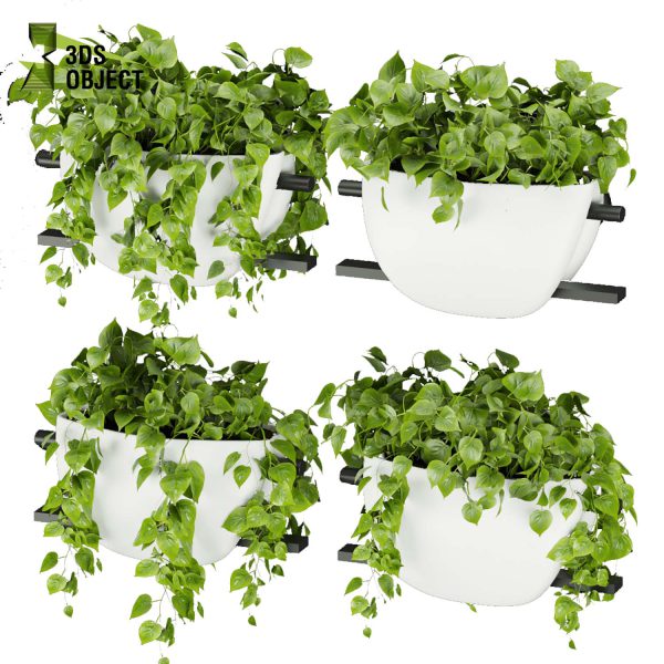 3d model plant hanging free Botanical Models pothos, devil's ivy houseplant flowerpot ampelous low poly buy 3dmodeling rendering architectural visualization