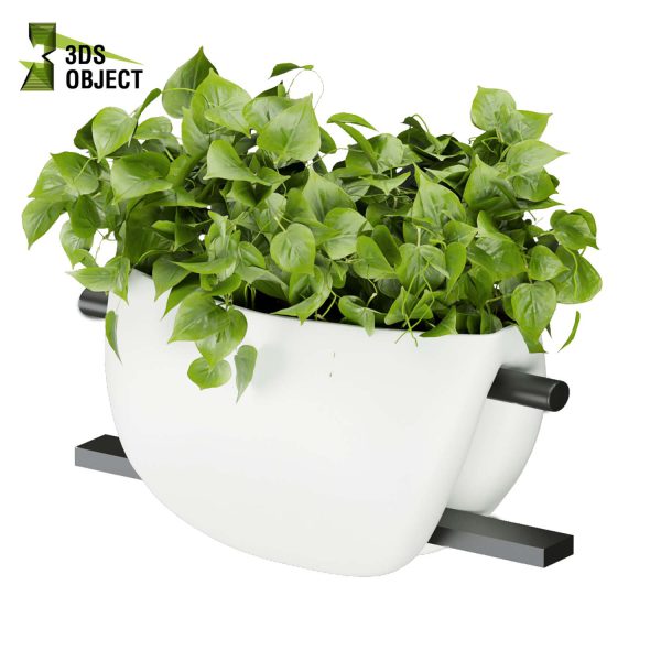 3d model plant hanging free Botanical Models pothos, devil's ivy houseplant flowerpot ampelous low poly buy 3dmodeling rendering architectural visualization cinema 4d 3ds max blender enscpae fbx obj Rhino Sketchup lumion