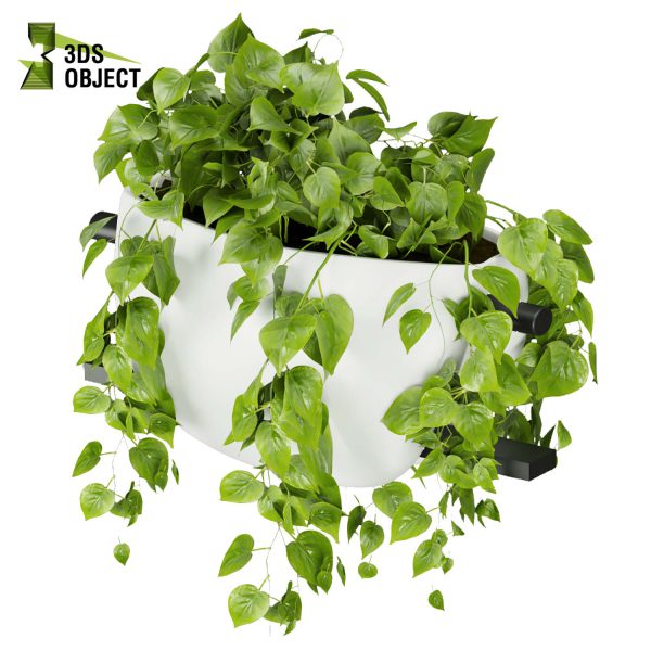 3d model plant hanging free Botanical Models pothos, devil's ivy houseplant flowerpot ampelous low poly buy 3dmodeling rendering architectural visualization cinema 4d 3ds max blender enscpae fbx obj Rhino Sketchup lumion