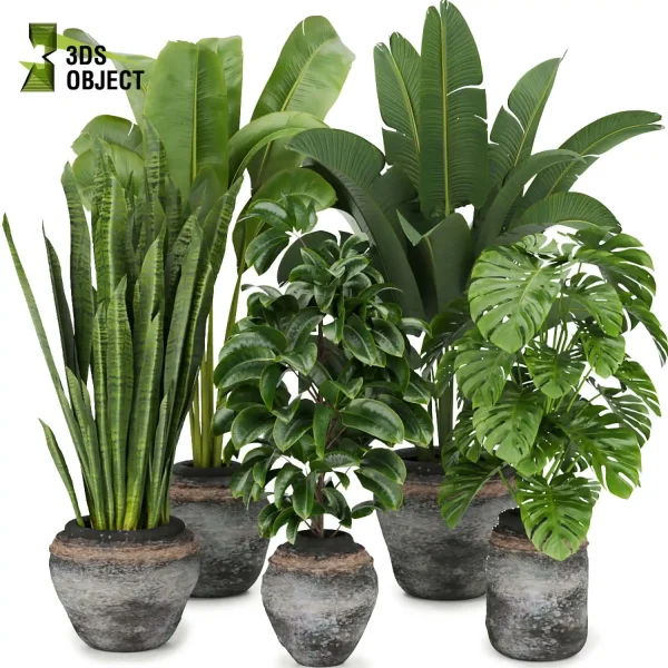 3d model plant pot free Banana rubber monstera sansveria  architectural3D botanical architecture simulator enscpae fbx obj Rhino Sketchup