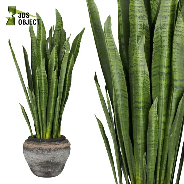 3d model plant pot free Banana rubber monstera sansveria architectural3D botanical architecture simulator enscpae fbx obj Rhino Sketchup