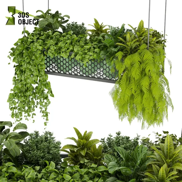 3d model plant hanging free Botanical Models pothos fiddle corton monstera fern 3drendering architectural Vegetation purchase cinema 4d 3ds max blender ampelous flowerpot planter