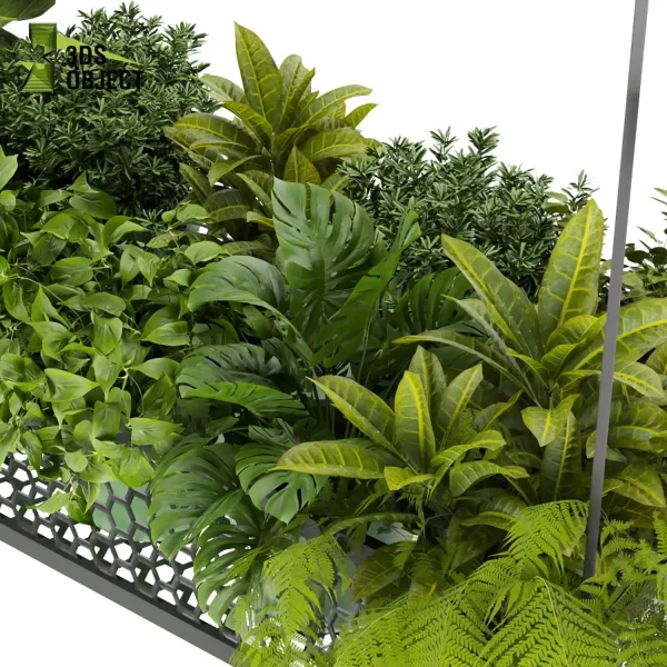3d model plant hanging free Botanical Models pothos fiddle corton monstera fern 3drendering architectural Vegetation purchase cinema 4d 3ds max blender ampelous flowerpot planter