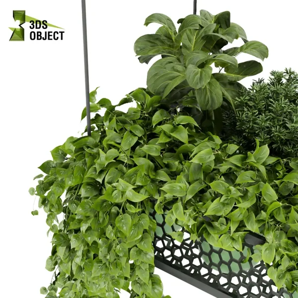 3d model plant hanging free Botanical Models pothos fiddle corton monstera fern 3drendering architectural Vegetation purchase cinema 4d 3ds max blender ampelous flowerpot planter