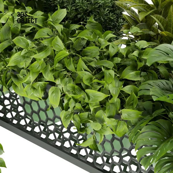 3d model plant hanging free Botanical Models pothos fiddle corton monstera fern 3drendering architectural Vegetation purchase cinema 4d 3ds max blender ampelous flowerpot planter