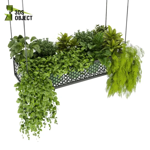 3d model plant hanging free Botanical Models pothos fiddle corton monstera fern 3drendering architectural Vegetation purchase cinema 4d 3ds max blender ampelous flowerpot planter