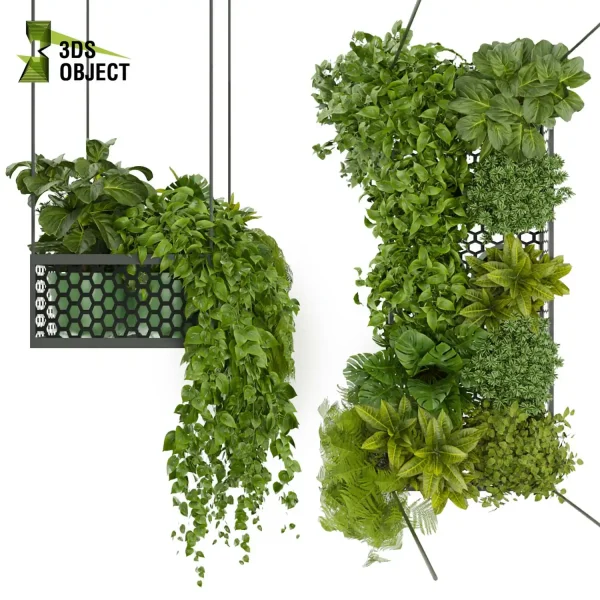 3d model plant hanging free Botanical Models pothos fiddle corton monstera fern 3drendering architectural Vegetation purchase cinema 4d 3ds max blender ampelous flowerpot planter