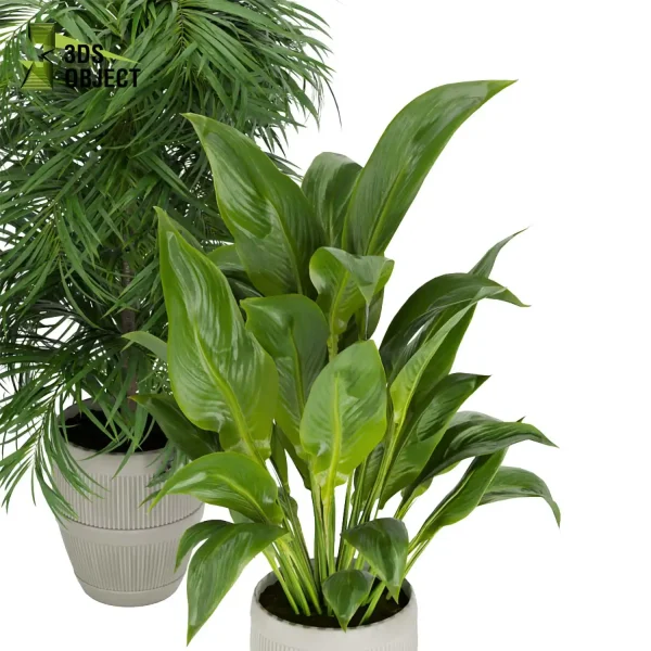 3d model plant pot free Monstera bird of paradise palm purchase 3drendering botanical