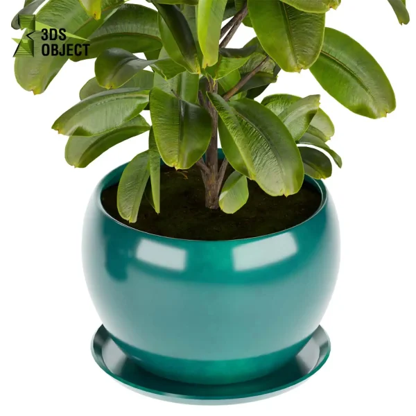 3d model plant pot free Rubber ficus elastica visualization architectural botanical architecture simulator fbx obj Rhino Sketchup