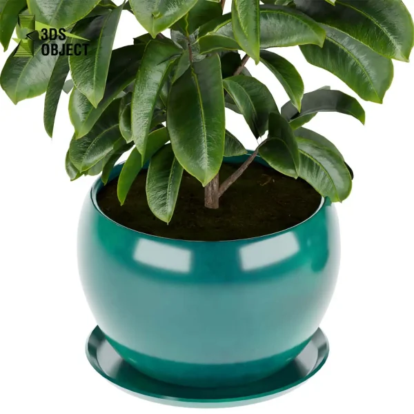 3d model plant pot free Rubber ficus elastica visualization architectural botanical architecture simulator fbx obj Rhino Sketchup