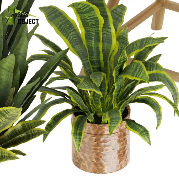 3d model plant pot free sansevieria, zeylanica, laurentii flowerpot 3D architectural visualization botanical interiordesign buy