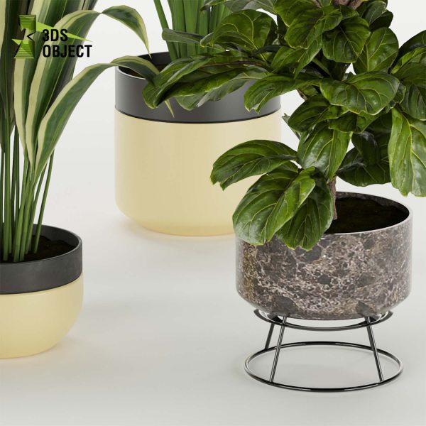 3d model plant pot free Croton aspidistra banana fiddle vegetation modeling tool purchase architectural3D