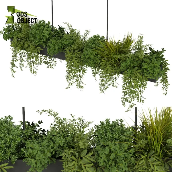 3d model plant hanging free Botanical Models bush grass ivy vegetation modeling tool 3D Hanging Plant Library purchase cinema 4d 3ds max blender fbx obj Rhino Sketchup lumion