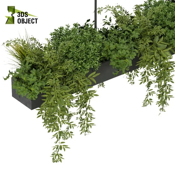 3d model plant hanging free Botanical Models bush grass ivy vegetation modeling tool 3D Hanging Plant Library purchase cinema 4d 3ds max blender fbx obj Rhino Sketchup lumion
