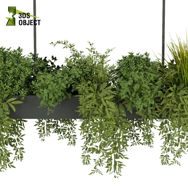 3d model plant hanging free Botanical Models bush grass ivy vegetation modeling tool 3D Hanging Plant Library purchase cinema 4d 3ds max blender fbx obj Rhino Sketchup lumion
