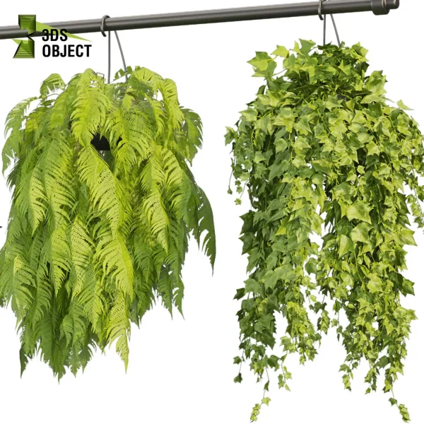 3d model plant hanging free Botanical Models pothos fern hedra Design Software Vine Foliage Creation