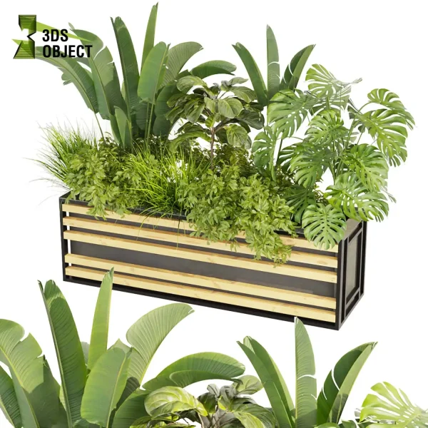3d model plant free Vegetation tree box Foliage banana fiddle monstera bush grass Digital Landscaping 3D Plant Creation Virtual Garden Design Botanical Simulation Plant Visualization Vegetation Modeling cinema 4d 3ds max blender enscape fbx obj Rhino Sketchup lumion