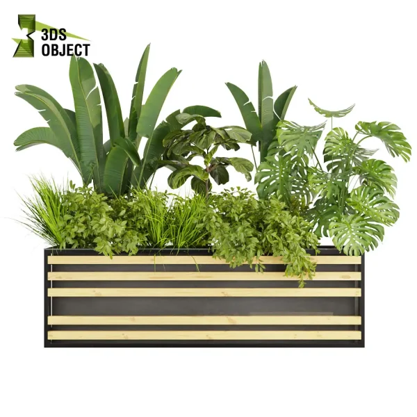 3d model plant free Vegetation tree box Foliage banana fiddle monstera bush grass Digital Landscaping 3D Plant Creation Virtual Garden Design Botanical Simulation Plant Visualization Vegetation Modeling cinema 4d 3ds max blender enscape fbx obj Rhino Sketchup lumion